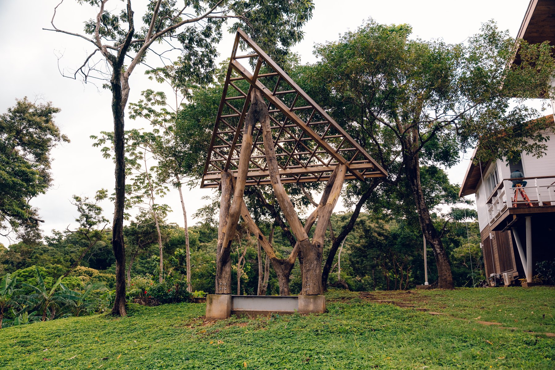 Full-scale raw timber structure in a tropical site context.