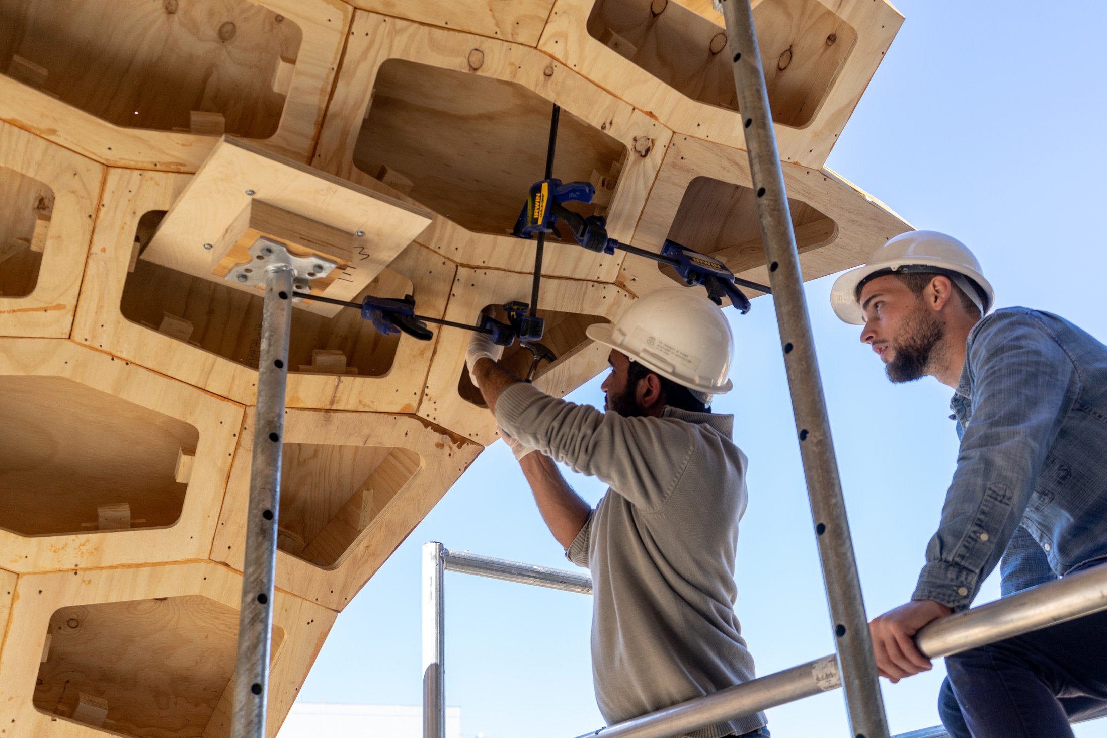 Close-up of a timber wedge joint below the HexBox canopy.