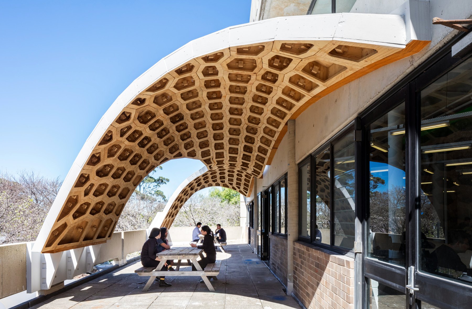 Exterior view of the HexBox Canopy on the University of Sydney terrace.